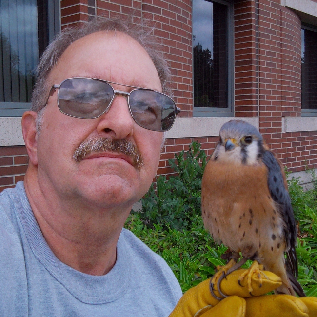 Doug & Everett, the male American Kestrel